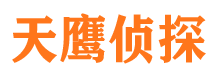 凌河市私家侦探